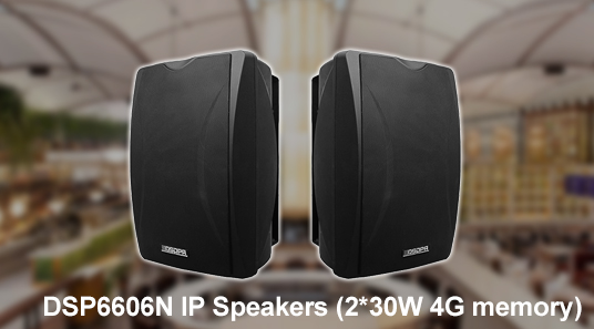 DSP6606N IP Speakers (2*30W 4G memori)
