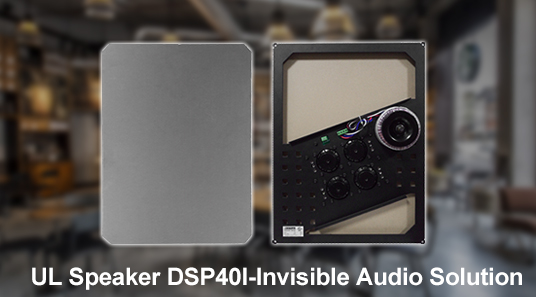 UL Speaker DSP40I-Invisible penyelesaian Audio untuk rumah