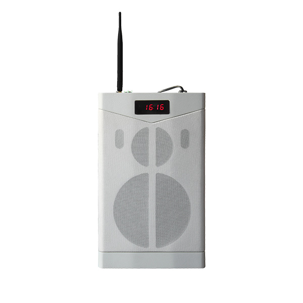 MAG6363G Speaker pengajaran rangkaian Bluetooth dengan mikrofon tanpa wayar 2.4G
