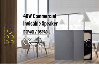 DSP401/ DSP401L 40W Speaker Invisable komersial