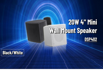 DSP402 20W 4 inci Mini Wall Mount Speaker
