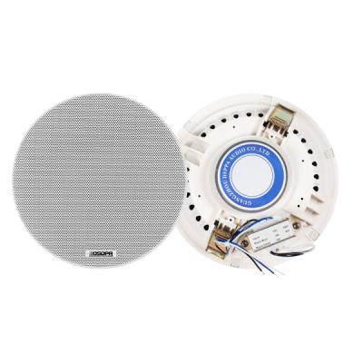 DSP5011 baru 6.5 inci Frameless Ceiling Speaker