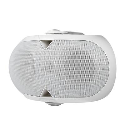 DSP220 40W Wall Mount Speaker