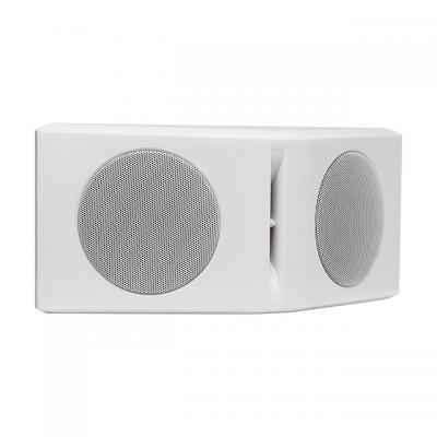 DSP4102 2*20W Wall Mount Speaker & 180 ° Design