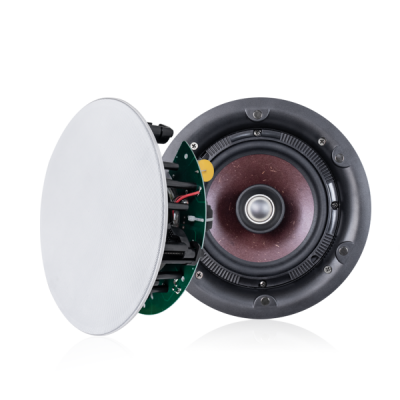 DSP6540 8Ω 60W Speaker siling