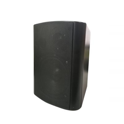 WEP5510 awan PA Speaker rangkaian dalaman