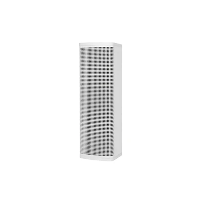 DSP5210 100W Professional Column Speaker - 翻译中...