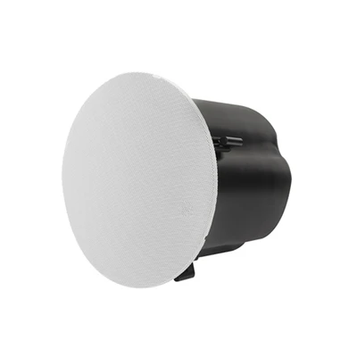 DSP7281SUB 100W 8'' In-Ceiling Subwoofer - 翻译中...